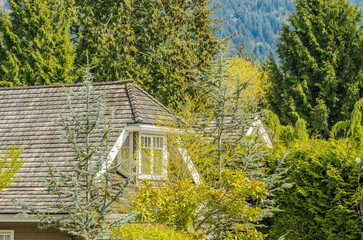 Wall Mural - Top of grey stucco luxury house with shingle roof, red and yellow trees and nice windows in Spring in Vancouver, Canada, North America.