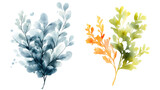 Minimalist watercolor design featuring underwater seaweed in various colors. artwork showcases delicate leaves in blue, green, and orange hues