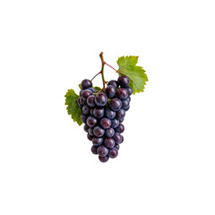 juicy red grapes: a cluster of ripe, dark red grapes hangs on the vine, their plump, juicy skin glis