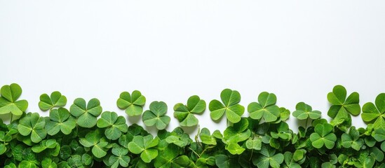 Poster - Green Clover Leaves Border with Copy Space for Text on White Background