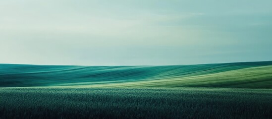 Poster - Vast green field landscape with rolling hills and soft atmospheric tones featuring Copy Space for text placement