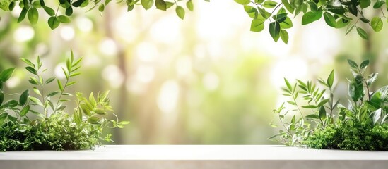 Poster - Fresh green foliage framing a soft blurred background with empty wooden tabletop displaying lush greenery and ample Copy Space