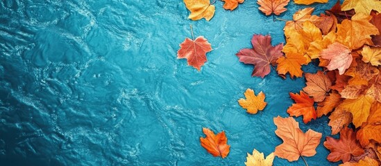 Poster - Autumn leaves floating on turquoise water surface with ripples and copy space for text.