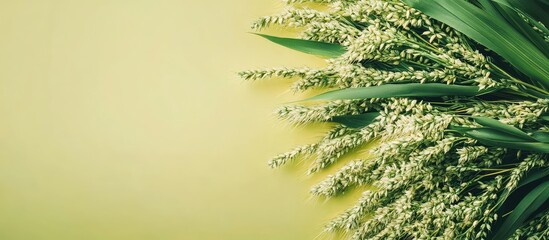 Poster - Green grass and flowers on bright yellow background with copy space for text.