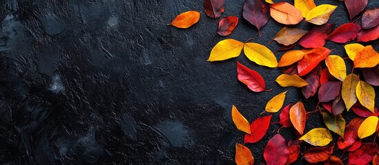 Poster - Colorful autumn leaves scattered on dark textured background with ample copy space for text or graphics