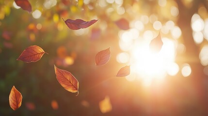 Aufkleber - Autumn leaves falling against a sunlit background with blurred bokeh effect and copy space for text.