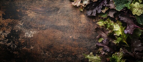 Poster - Rustic wooden background with mixed leafy greens arranged on the side and copy space for text placement.