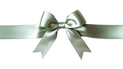 Wall Mural - Elegant mint green satin ribbon bow with tails for decoration