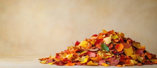 Aufkleber - Colorful pile of dried flower petals with a textured background and ample copy space for text placement