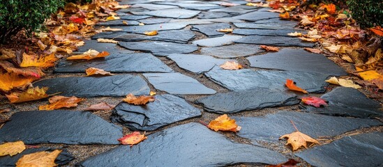 Aufkleber - Stone pathway covered with autumn leaves in a natural setting with vibrant colors and Copy Space for text.