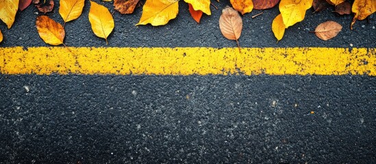Poster - Autumn leaves on asphalt road with yellow line Copy Space for text placement