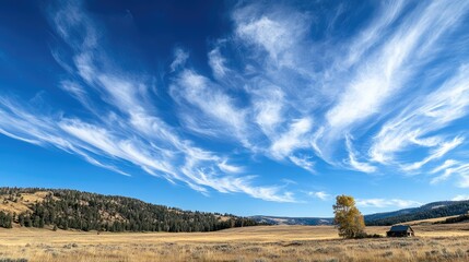 Poster - Vast landscape with open field, dramatic clouds, lone tree, and rustic cabin under bright blue sky with copy space for text.