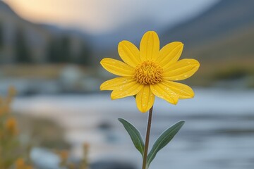 Wall Mural - Dew kissed yellow flower blooms in mountain valley