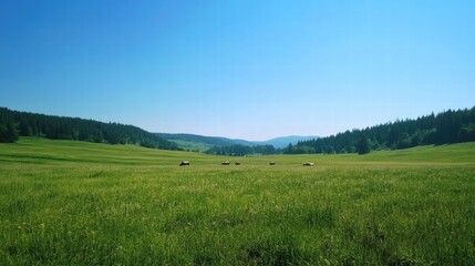 Aufkleber - Cows grazing peacefully on a vibrant green meadow under a clear blue sky in a serene rural landscape. Generative AI