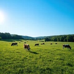 Aufkleber - Cows grazing contently on a lush green meadow under a clear blue sky in a serene countryside setting. Generative AI