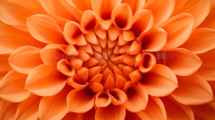 Poster - Vibrant orange dahlia flower in full bloom, revealing intricate layers of delicate petals, creating a stunning display of natural beauty for celebrations and spring