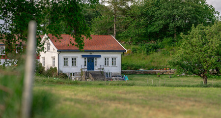 Wall Mural - Traditional white wooden house with a garden.