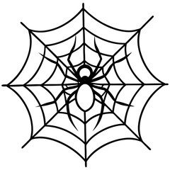 spider on web