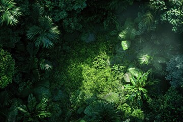 Wall Mural - Lush greenery envelops hidden clearing, illuminated by soft ligh