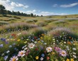 © Phetthanousack - Field of wildflowers blooming in a rustic countryside setting underneath a clear blue sky, field, blooming, sunny