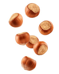 Wall Mural - falling hazelnut isolated on white background, clipping path, full depth of field
