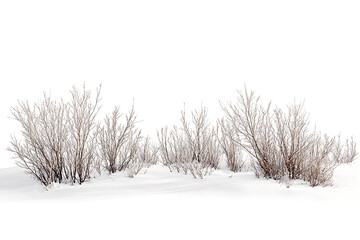 Aufkleber - Winter snow landscape isolated on a white background