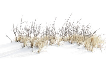 Poster - Winter snow landscape isolated on a white background