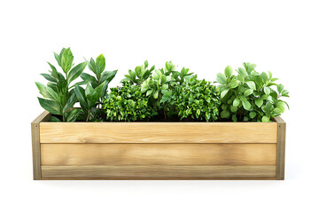 Poster - Wooden planter box with plants isolated on a white background