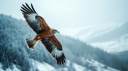Wall Mural - a large bird, brown and white, flies over snow-covered mountains, with trees in the background of th
