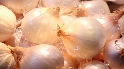 Wall Mural - Fresh organic onions glistening with water droplets