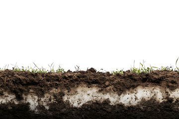 Poster - Soil isolated on a white background