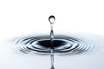 Poster - Splash of water isolated on a white background