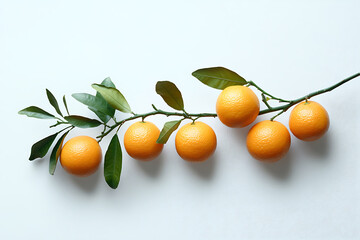 Aufkleber - Ripe delicious oranges branch isolated on a white background