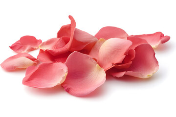 Poster - Rose petals scattering in the air isolated on a white background