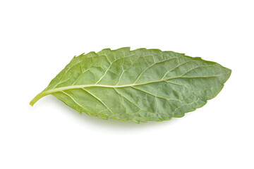 Poster - Mint leaf, , fresh mint isolated on a white background