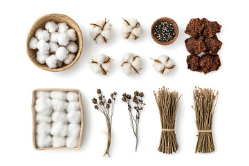 Poster - Set of cotton isolated on a white background