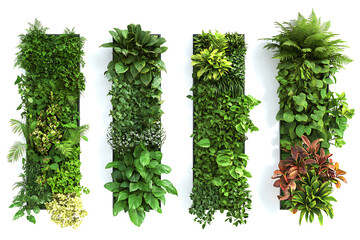 Poster - Set of green garden walls from tropical plants isolated on a white background