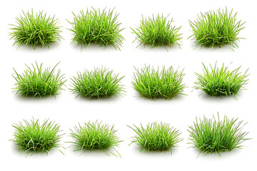 Poster - Set of green lawns isolated a white background