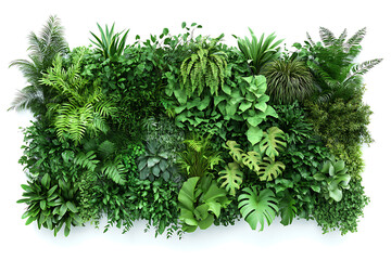Poster - Set of green garden walls from tropical plants isolated a white background