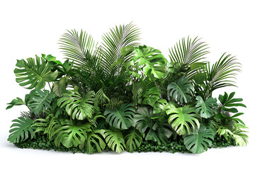 Poster - Set of lush green tropical plants bushes monstera, palm, rubber plant, pine and fern isolated on a white background