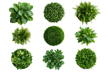Poster - Set of round green garden wall panels from tropical plants isolated a white background