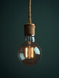 © SashaMagic - Vintage lightbulb with glowing filament hanging by rope