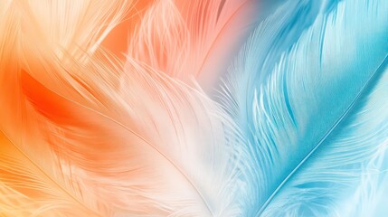 Aufkleber - Abstract image of colorful feathers in orange, white, and blue tones.