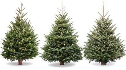 Poster - Undecorated Christmas Trees on Transparent Background Generative AI
