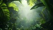 © savior - tropical jungle background with green leaves and sunlight