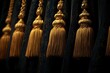 © Design By Reiga - Golden curtain tassels, dark fabric background, interior design detail
