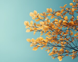Aufkleber - Golden autumn leaves against a clear blue sky.