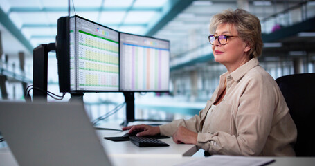 Poster - Computer Spreadsheet Data Analyst Woman