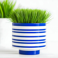 Wall Mural - Striped Pot with Grass Illustration