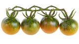 Fresh, ripe tomatoes on a green stem, isolated on white background